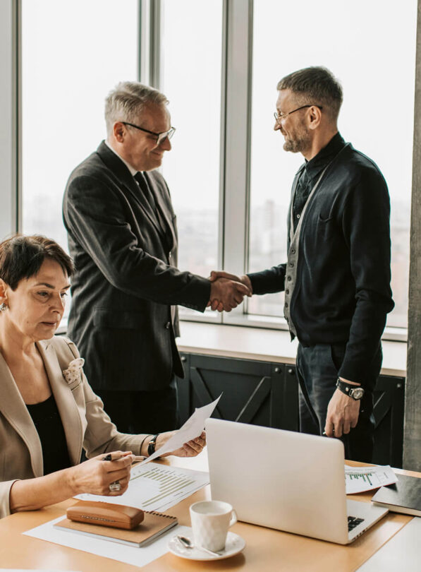 consulting-banner-sv